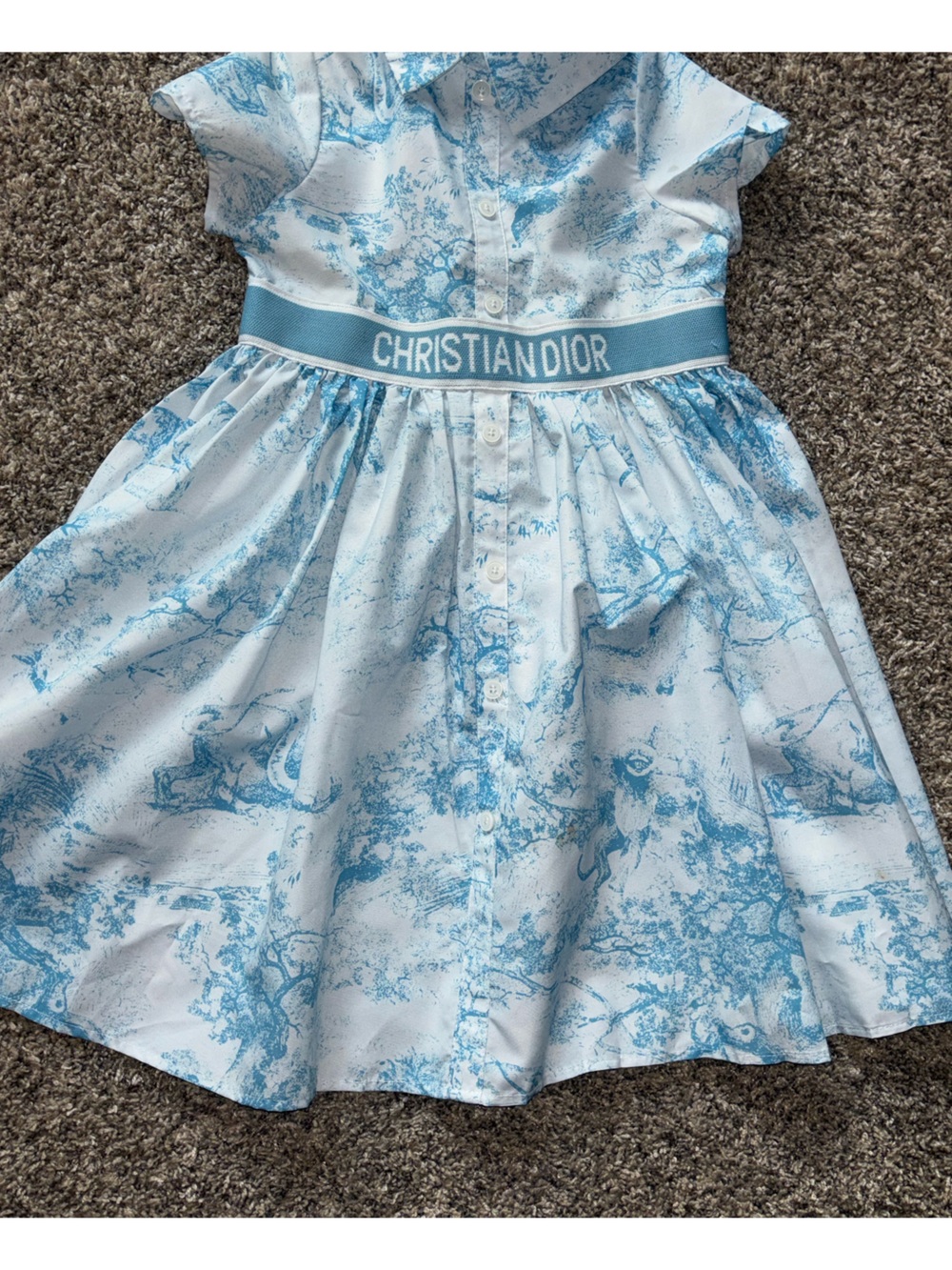 Christian Dior Blue Toile Belted Dress